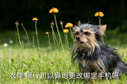 海口農(nóng)商銀行網(wǎng)上銀行,中國(guó)農(nóng)商手機(jī)銀行網(wǎng)上銀行下載