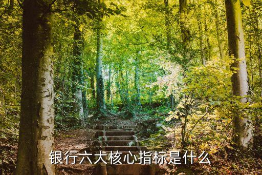商業(yè)銀行資本占資產(chǎn)的比重,自有資本業(yè)務屬于商業(yè)銀行的資產(chǎn)業(yè)務