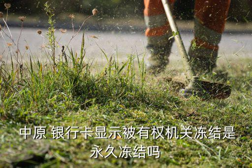  中原 銀行卡顯示被有權(quán)機關(guān)凍結(jié)是永久凍結(jié)嗎