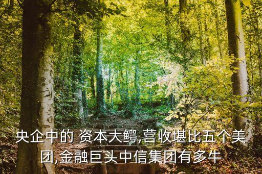 央企中的 資本大鱷,營收堪比五個美團,金融巨頭中信集團有多牛