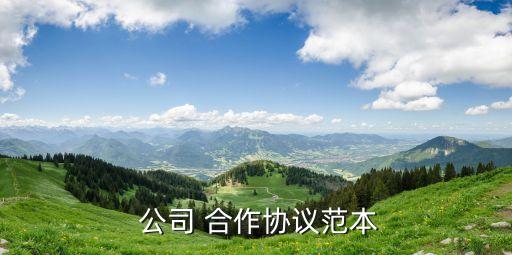 成立公司的相關(guān)合作合同,合作合同關(guān)系成立的判斷標準