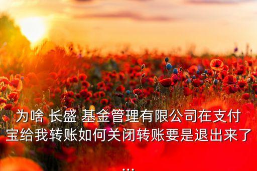長(zhǎng)盛基金被查
