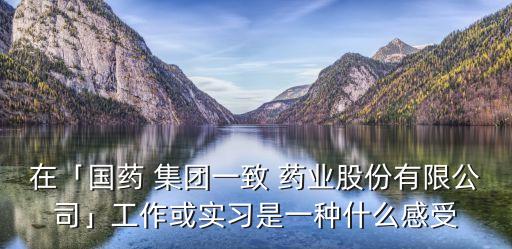 在「國藥 集團一致 藥業(yè)股份有限公司」工作或實習是一種什么感受