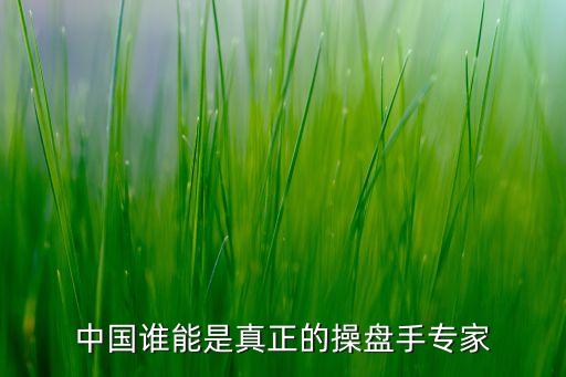 中國(guó)誰(shuí)能是真正的操盤(pán)手專家