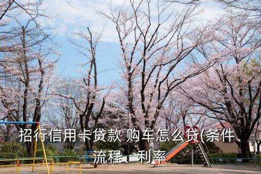 招行信用卡貸款 購(gòu)車怎么貸(條件、流程、利率