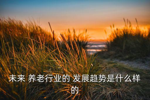 中國養(yǎng)老模式的多元化發(fā)展,多元化養(yǎng)老服務模式