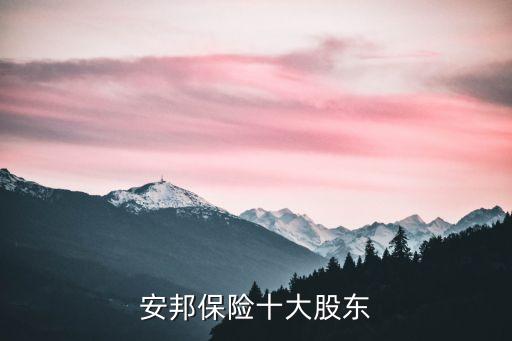 中國(guó)證券金融股份有限公司持股