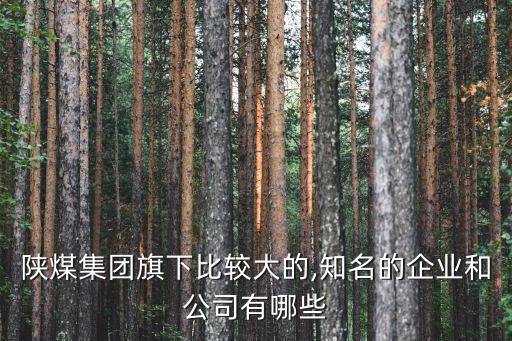 陜西彬長(zhǎng)礦業(yè)集團(tuán)有限公司煤化工分公司,2、陜西彬長(zhǎng)礦業(yè)集團(tuán)有限公司