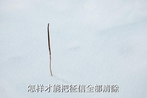 怎樣去中國人民銀行消不良記錄