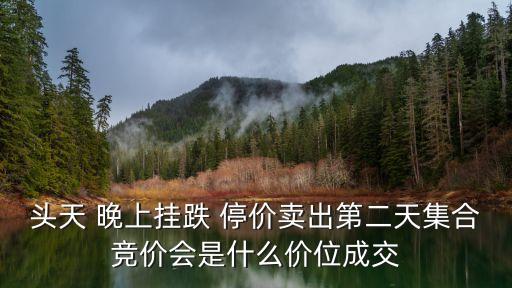頭天 晚上掛跌 停價(jià)賣(mài)出第二天集合競(jìng)價(jià)會(huì)是什么價(jià)位成交