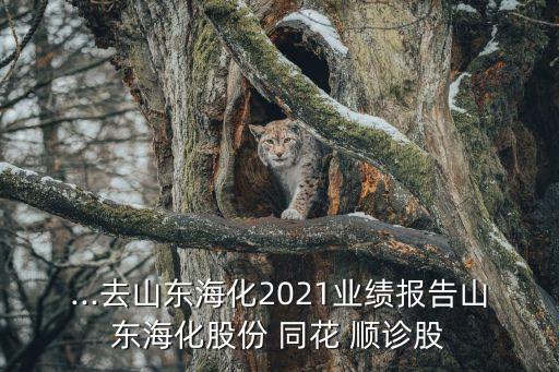 ...去山東?；?021業(yè)績報告山東海化股份 同花 順診股