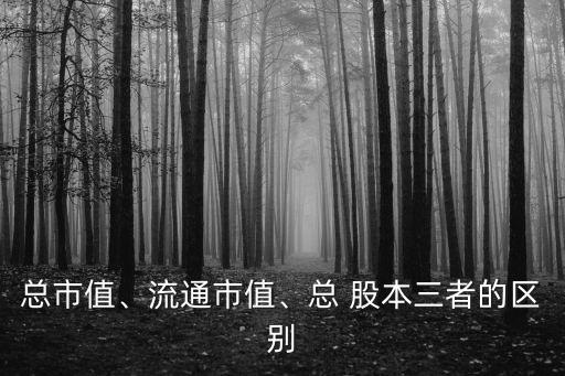 總市值、流通市值、總 股本三者的區(qū)別