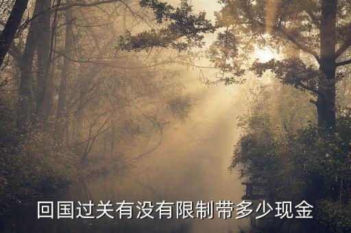 回國(guó)過(guò)關(guān)有沒(méi)有限制帶多少現(xiàn)金