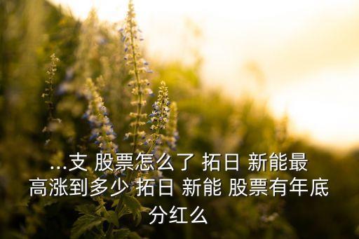 拓日新能股票走勢