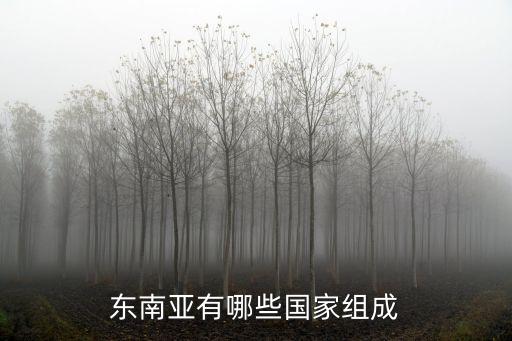 巴勒斯坦和中國(guó)的貿(mào)易往來