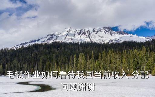 毛概作業(yè)如何看待我國(guó)當(dāng)前收入 分配問(wèn)題謝謝