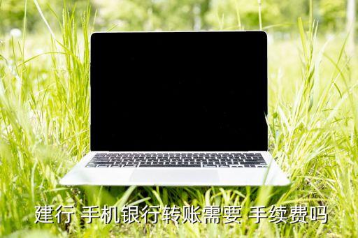  建行 手機銀行轉賬需要 手續(xù)費嗎
