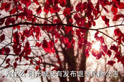 為什么 陽光城沒有發(fā)布退市風險公告