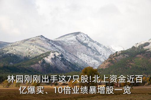 林園剛剛出手這7只股!北上資金近百億爆買、10倍業(yè)績暴增股一覽