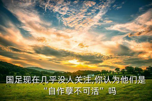 國(guó)足現(xiàn)在幾乎沒(méi)人關(guān)注,你認(rèn)為他們是“自作孽不可活”嗎