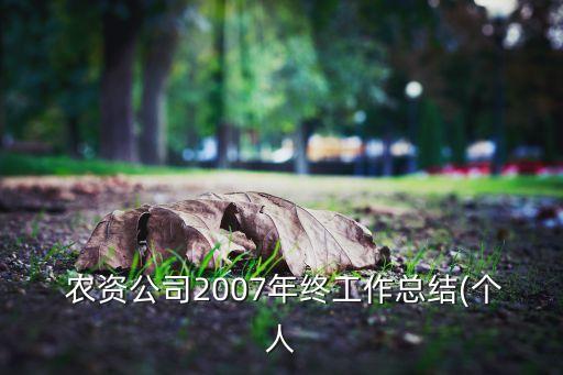  農(nóng)資公司2007年終工作總結(個人