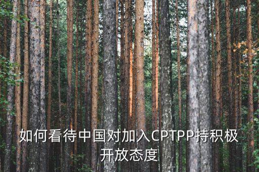 如何看待中國對(duì)加入CPTPP持積極開放態(tài)度
