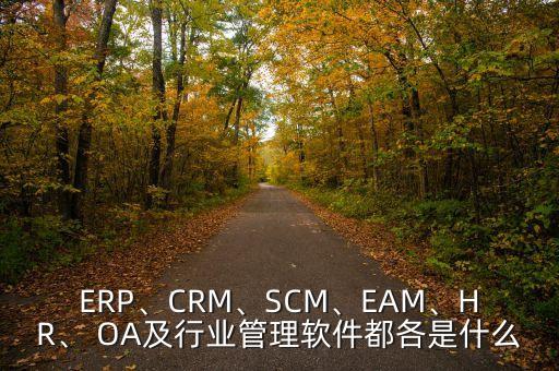 ERP、CRM、SCM、EAM、HR、 OA及行業(yè)管理軟件都各是什么