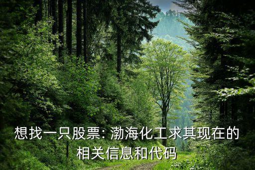 想找一只股票: 渤?；で笃洮F(xiàn)在的相關(guān)信息和代碼