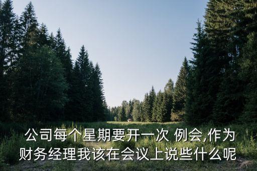  公司每個(gè)星期要開一次 例會(huì),作為財(cái)務(wù)經(jīng)理我該在會(huì)議上說些什么呢