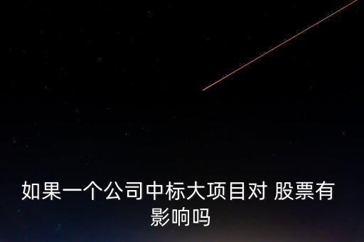 如果一個(gè)公司中標(biāo)大項(xiàng)目對 股票有 影響嗎