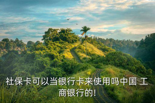 社?？梢援斻y行卡來使用嗎中國 工商銀行的!