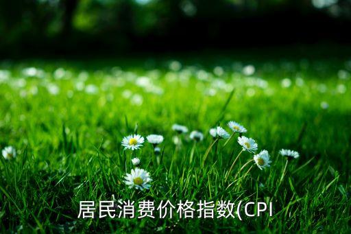 居民消費(fèi)價格指數(shù)(CPI