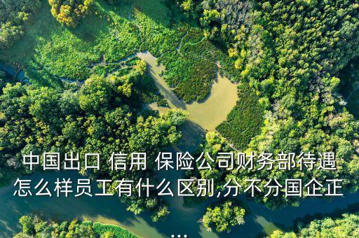 中國(guó)出口 信用 保險(xiǎn)公司財(cái)務(wù)部待遇怎么樣員工有什么區(qū)別,分不分國(guó)企正...
