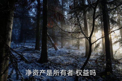 凈資產是所有者 權益嗎