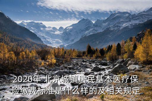2020年 北京城鎮(zhèn)居民基本醫(yī)療保險繳費標準是什么樣的及相關規(guī)定