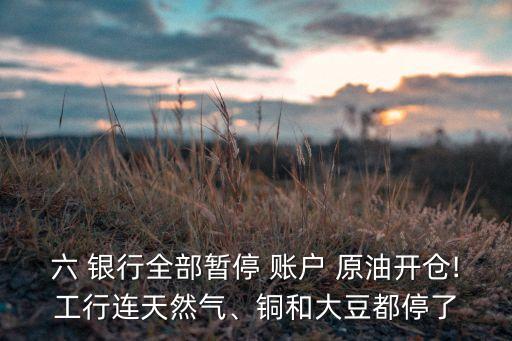 六 銀行全部暫停 賬戶 原油開倉!工行連天然氣、銅和大豆都停了