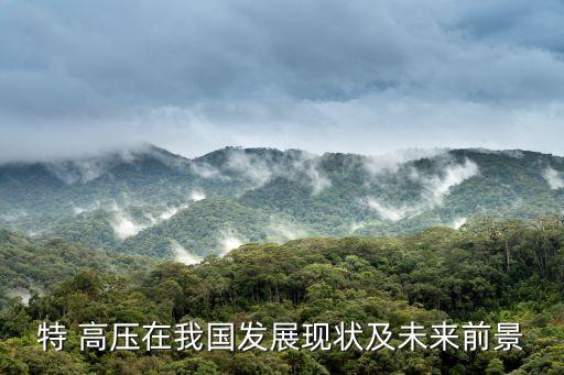 特 高壓在我國(guó)發(fā)展現(xiàn)狀及未來(lái)前景