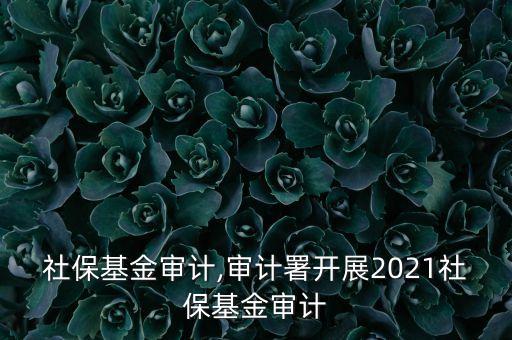 美國社?；饘徲?審計署開展2021社保基金審計