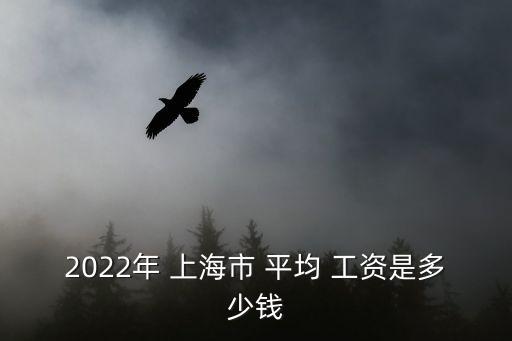 2022年 上海市 平均 工資是多少錢(qián)