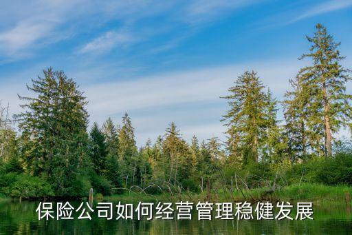 保險(xiǎn)公司如何經(jīng)營管理穩(wěn)健發(fā)展