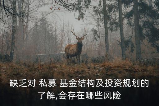 缺乏對 私募 基金結(jié)構(gòu)及投資規(guī)劃的了解,會(huì)存在哪些風(fēng)險(xiǎn)