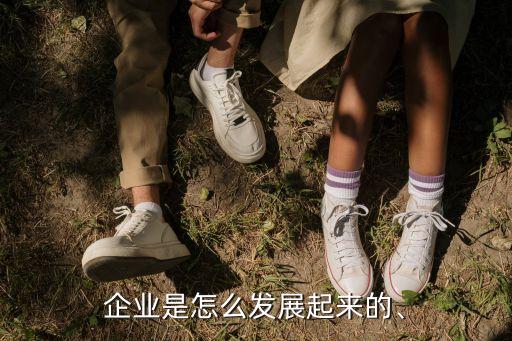企業(yè)是怎么發(fā)展起來的、