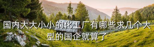 國內大大小小的化工廠有哪些求幾個大型的國企就算了
