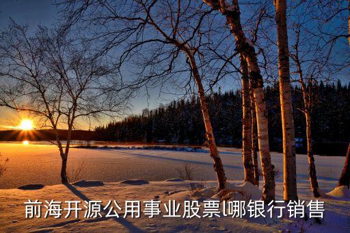 前海開(kāi)源公用事業(yè)股票l哪銀行銷(xiāo)售