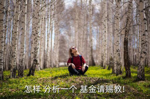 怎樣 分析一個 基金請賜教!