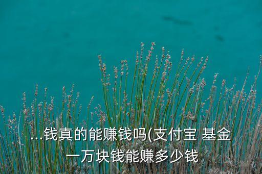 ...錢真的能賺錢嗎(支付寶 基金 一萬(wàn)塊錢能賺多少錢