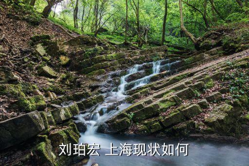 劉珀宏 上?，F(xiàn)狀如何