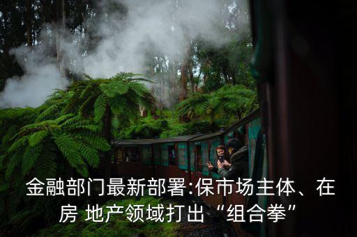  金融部門最新部署:保市場主體、在房 地產(chǎn)領(lǐng)域打出“組合拳”