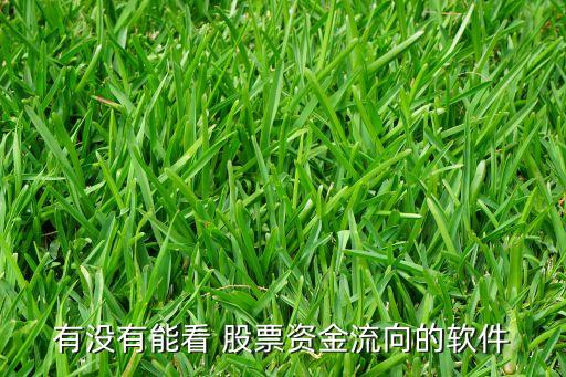 有沒(méi)有能看 股票資金流向的軟件