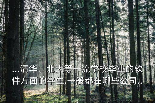 ...清華、北大等一流學(xué)校畢業(yè)的軟件方面的學(xué)生,一般都在哪些公司...